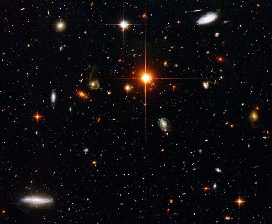 A Zoo of Galaxies