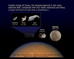 Comparison of Asteroid Sizes