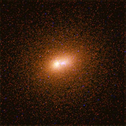 The Core of the Andromeda Galaxy (M31)