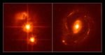 Quasar Without Host Galaxy Compared with Normal Quasar