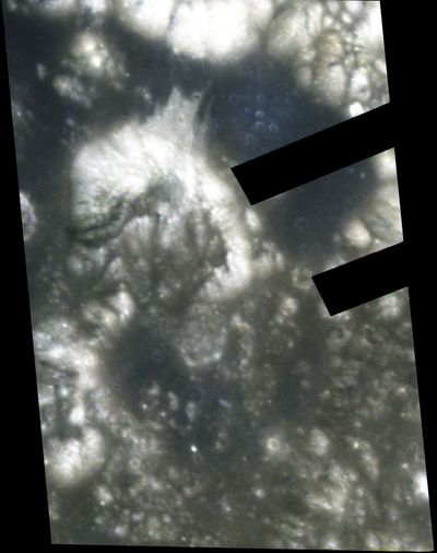 Hubble’s View of the Apollo 17 Landing Site