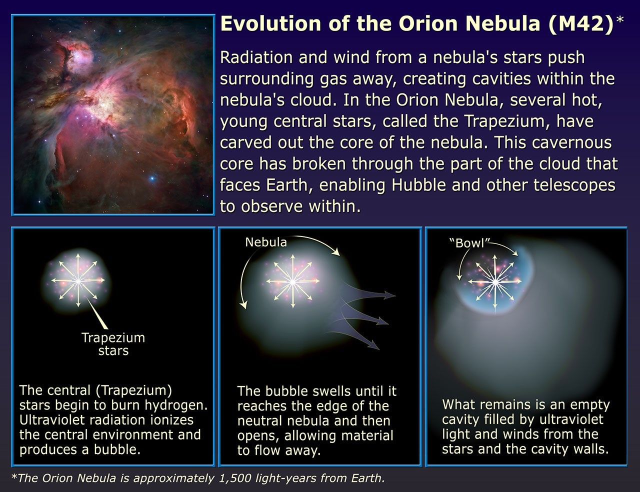 Evolution of the Orion Nebula (M42)