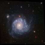 Full ACS Field of NGC 1309