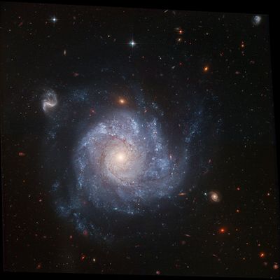 Full ACS Field of NGC 1309