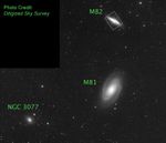 The M82 Neighborhood with M81 and NGC 3077 (DSS)