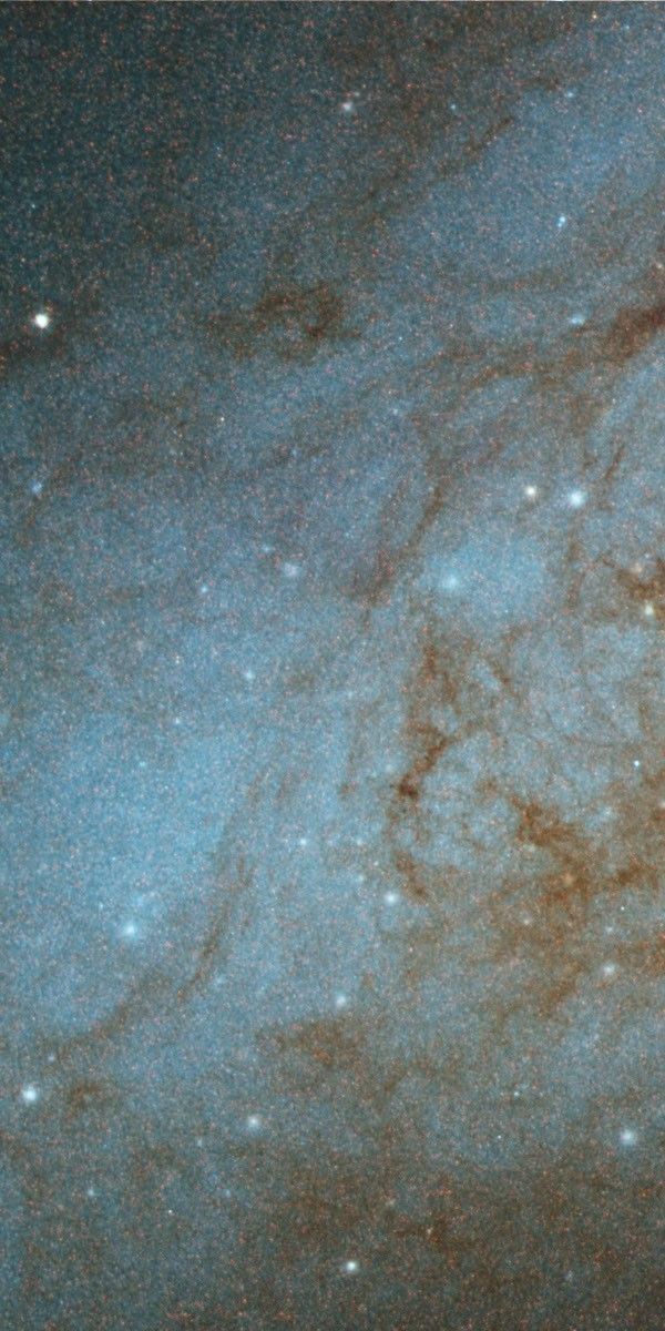 Disk of M82