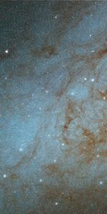Disk of M82