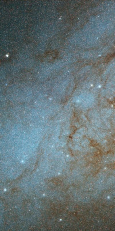 Disk of M82