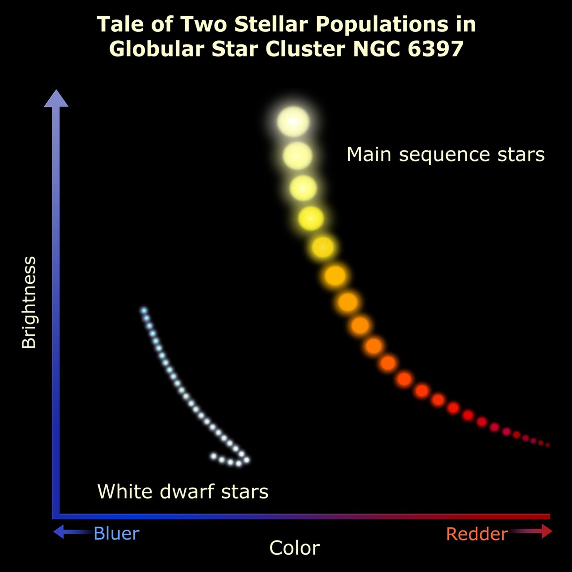 Tale of Two Stellar Populations in Globular Cluster NGC 6397