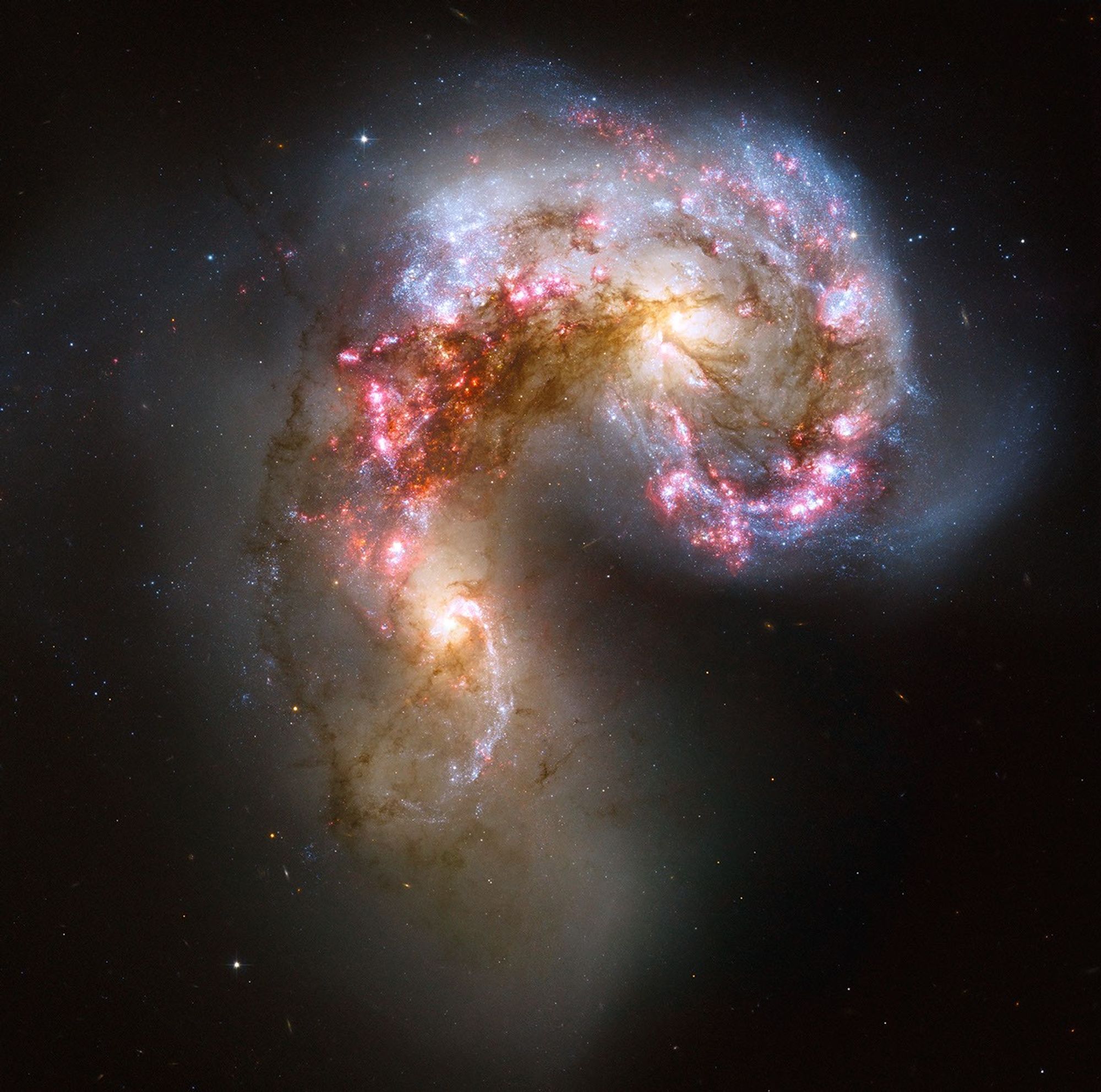 Visible light emitted by the Antennae galaxies is shown in various colors, including pink, blue, brown, and white. The overall shape of the two colliding galaxies resembles a curled-up shrimp, with one of the galaxy’s main spiral arm toward the top right and the other galaxy’s main spiral arm toward the bottom left.