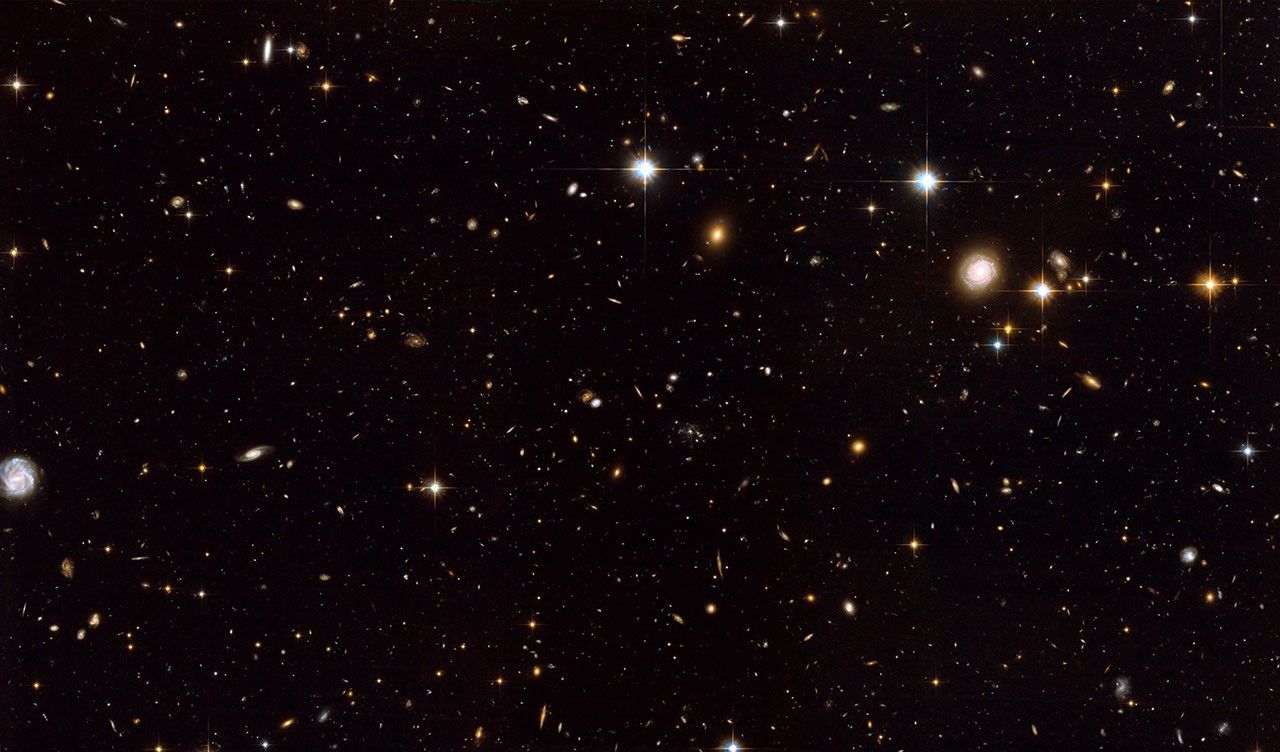 Full Hubble ACS  View of Spiderweb Galaxy Field