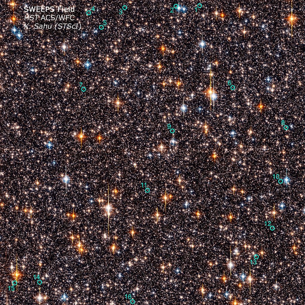 
			SWEEPS 16 Extrasolar Planet Candidates - NASA Science			