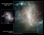 Stellar "Infant Mortality" in Spiral Galaxy NGC 1313