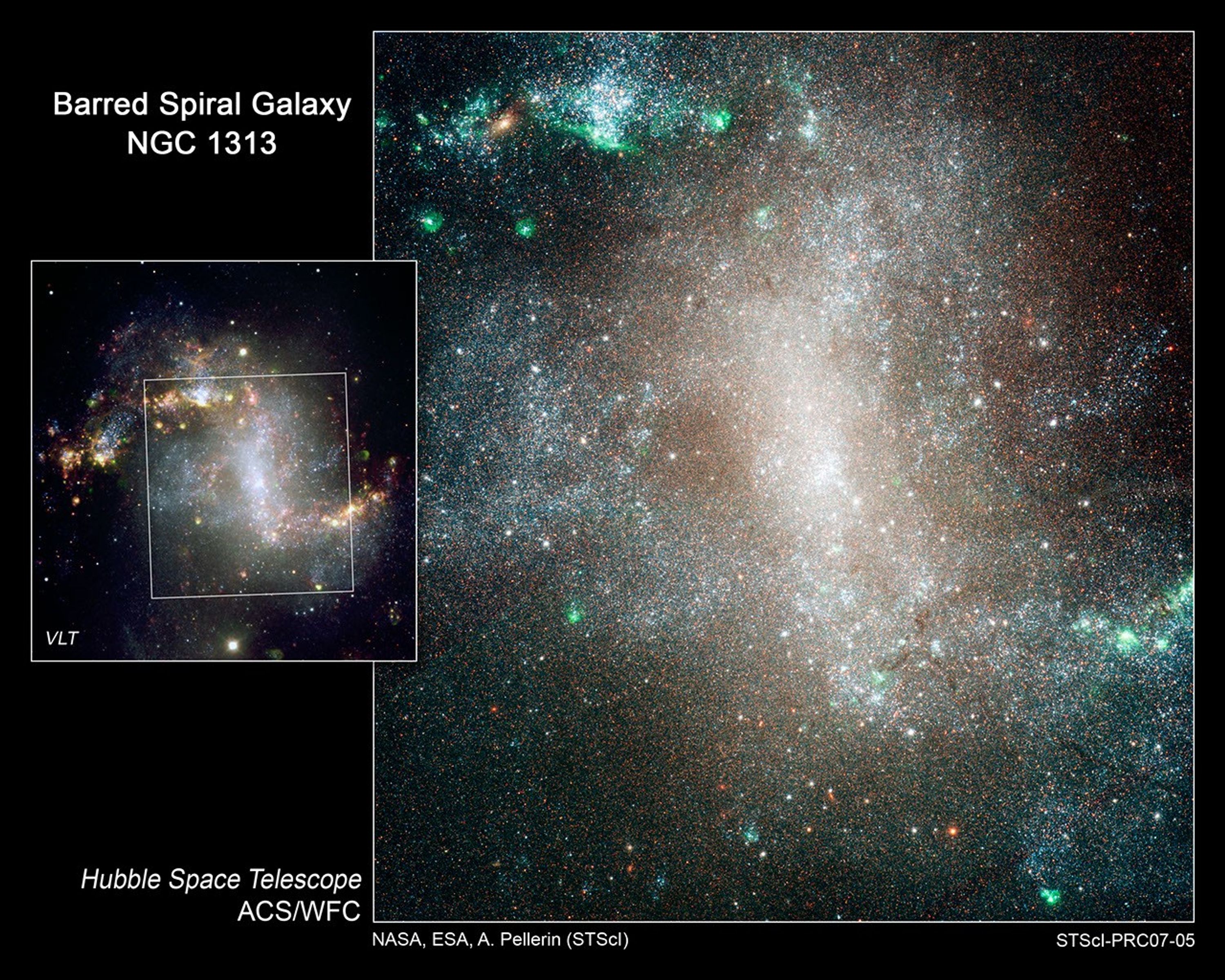 Stellar "Infant Mortality" in Spiral Galaxy NGC 1313