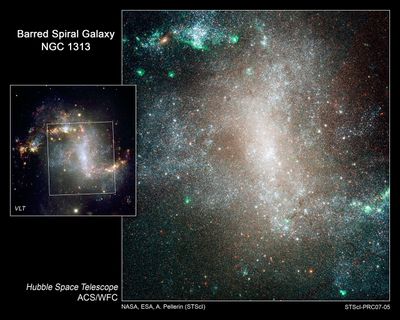 Stellar “Infant Mortality” in Spiral Galaxy NGC 1313