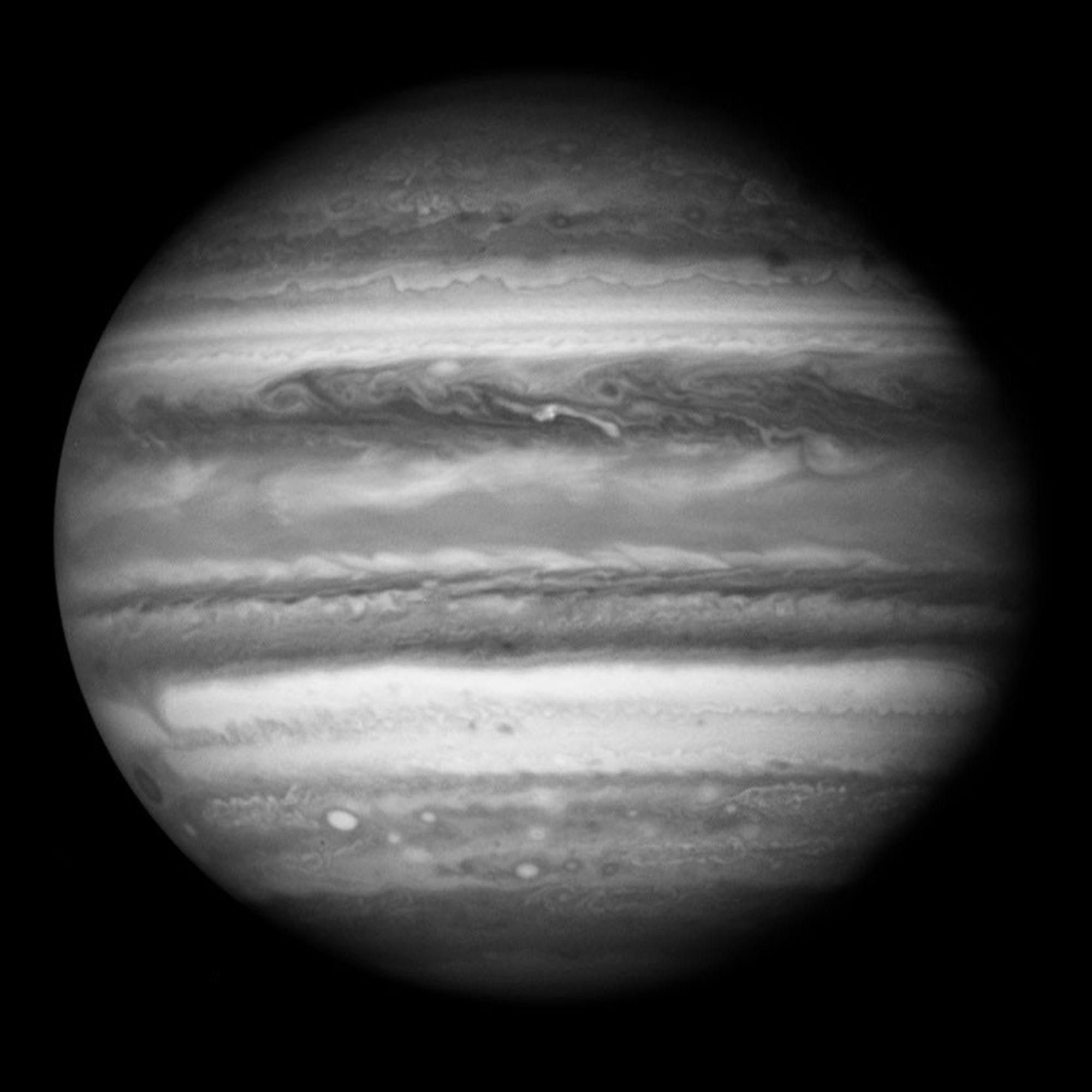 The Equatorial Regions of Jupiter