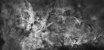 Grayscale Image of the Carina Nebula: Star Birth in the Extreme