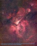 AAO Image of Carina Nebula