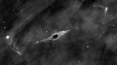 Dark Globule and Stellar Jet in the Carina Nebula