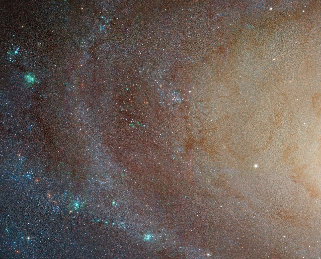 Spiral Galaxy M81 Details 4