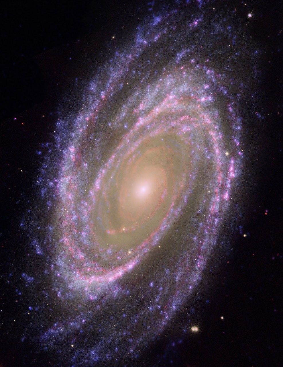 Hubble/GALEX/Spitzer Composite Image of M81