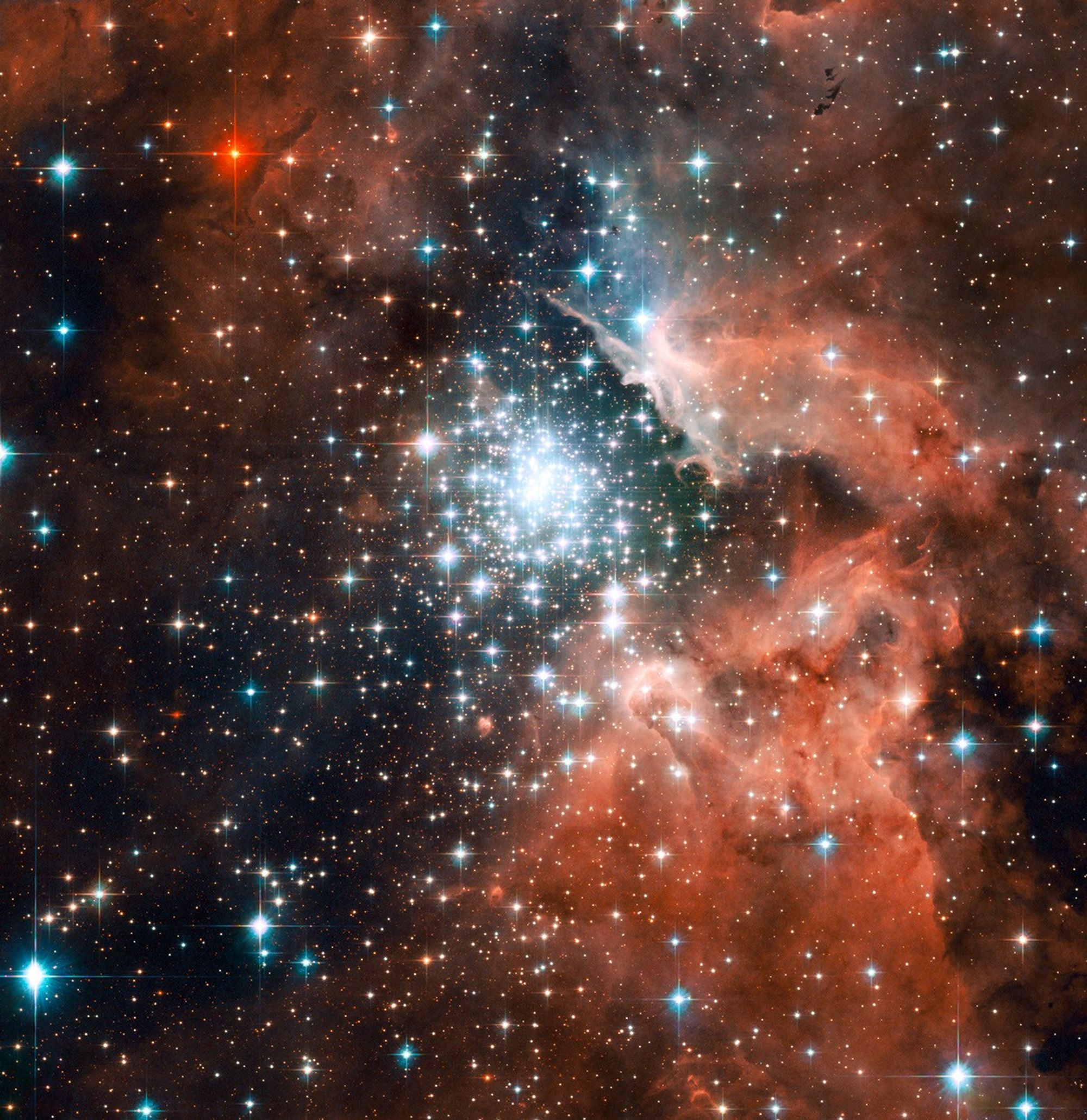 Full Hubble ACS Image of NGC 3603