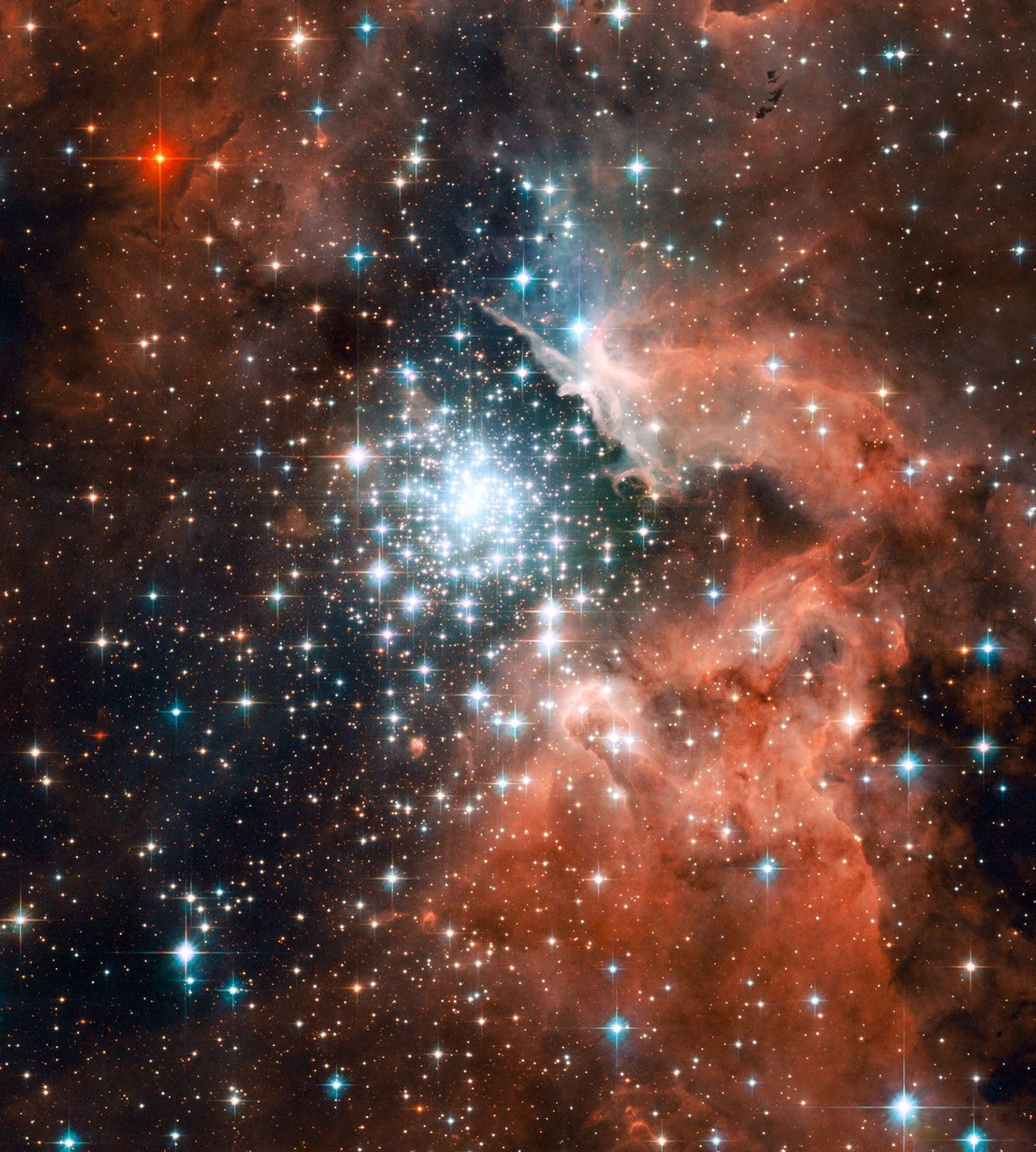 Star Cluster Bursts into Life in New Hubble Image