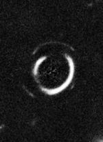 Gravitational Lens System SDSSJ0946+1006 (Zoom onto Double Einstein Ring)