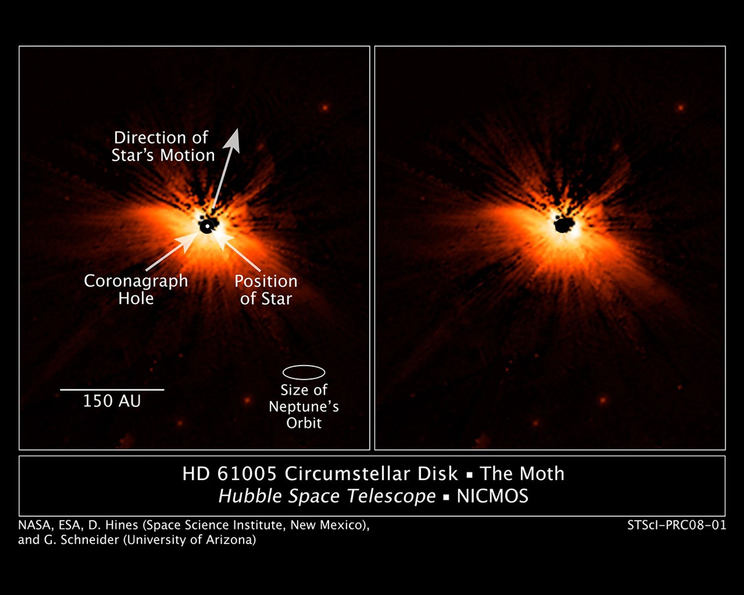 Hubble Catches a Dusty Moth