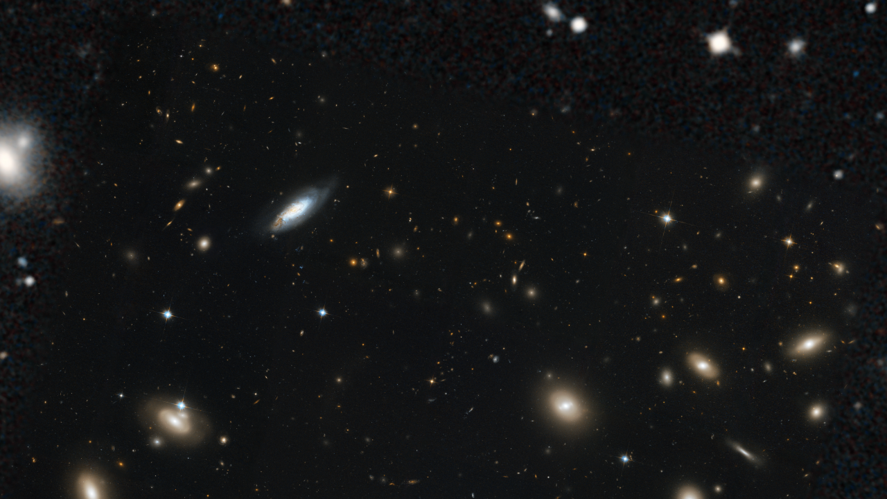 Zooming into the Coma Cluster of Galaxies