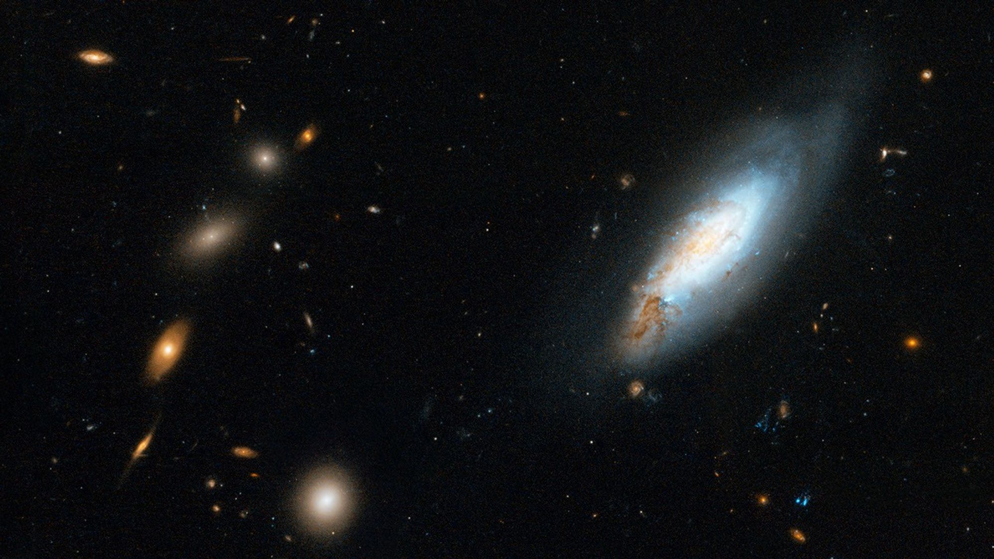 Spiral Galaxy in the Coma Cluster, Part of a Larger Hubble Image
