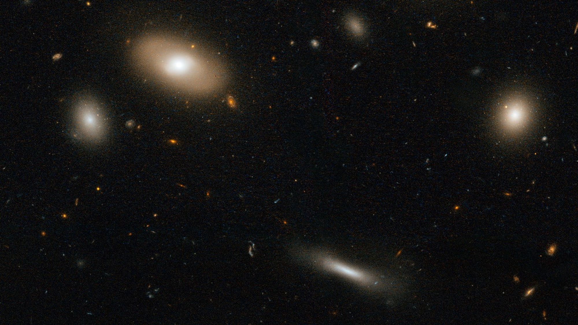Varied Galaxy Types in the Coma Cluster, a Section of a Larger, Detailed Hubble Image