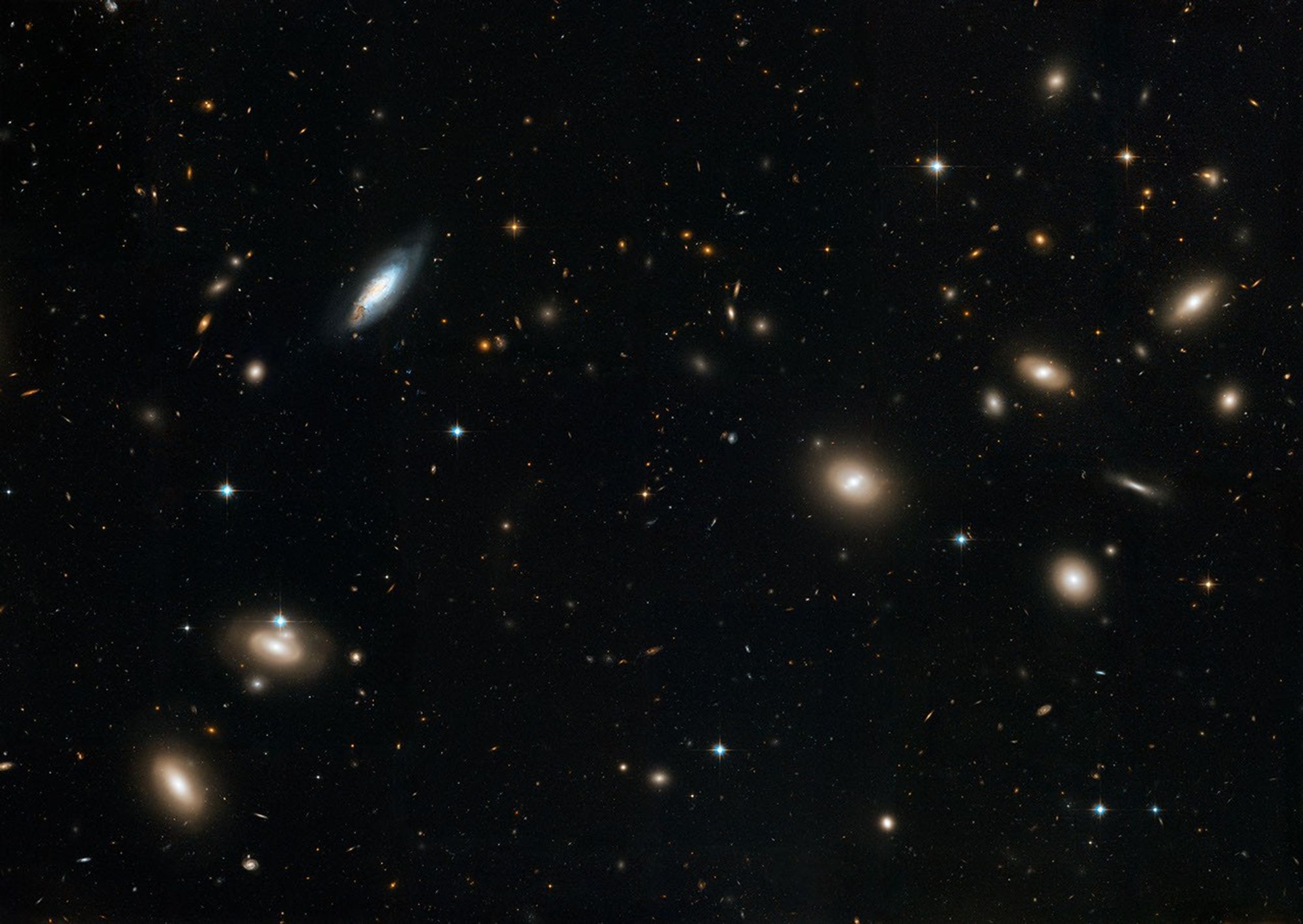 Hubble's Sweeping View of the Coma Cluster of Galaxies