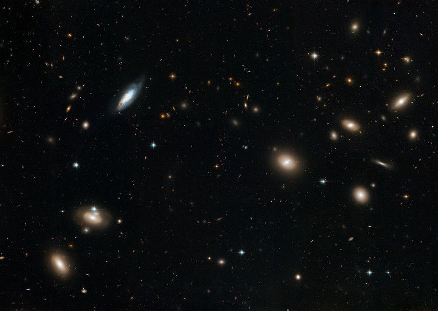 Hubble's Sweeping View of the Coma Cluster of Galaxies