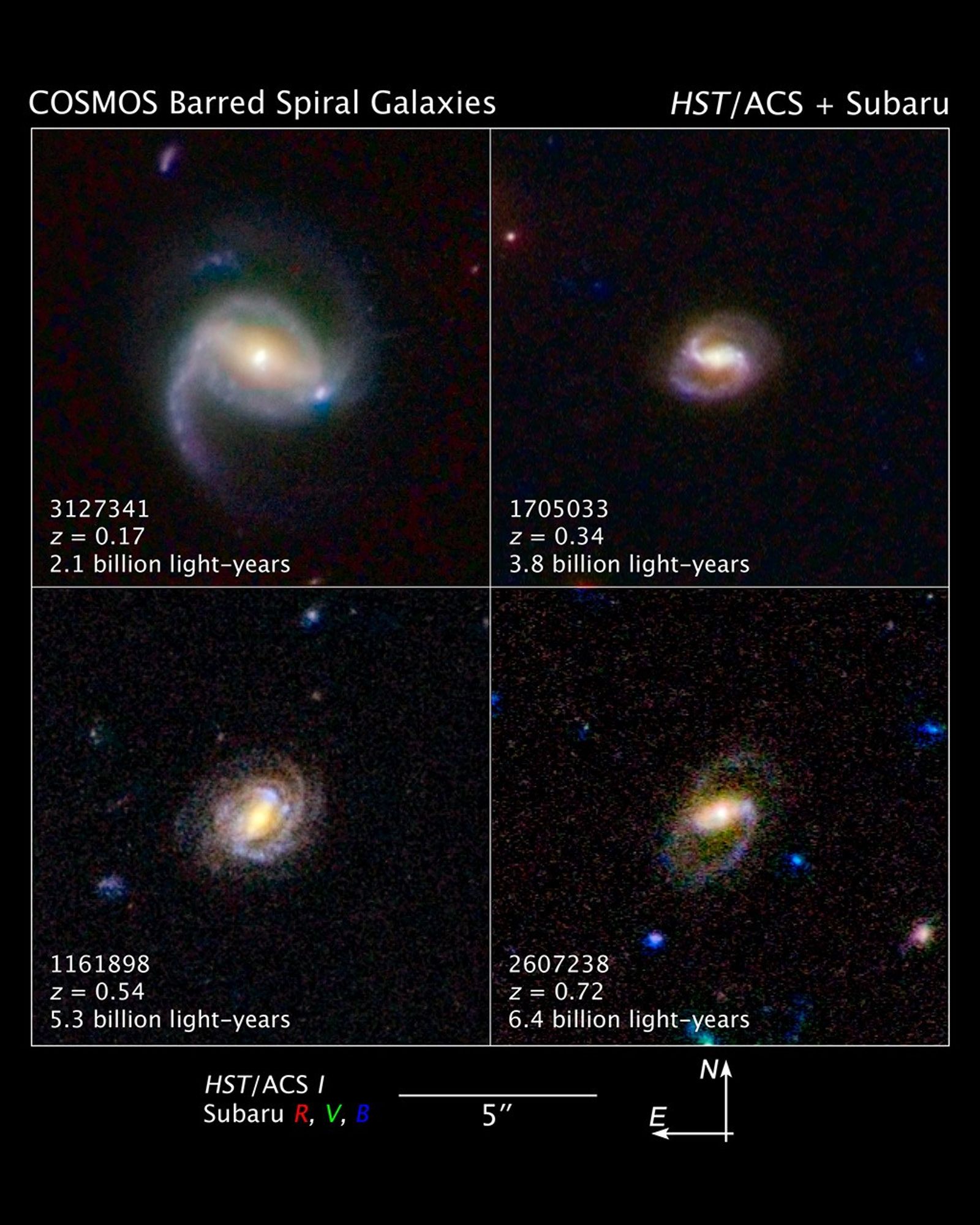 COSMOS Barred Spiral Galaxies