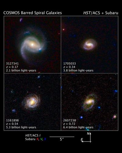 COSMOS Barred Spiral Galaxies