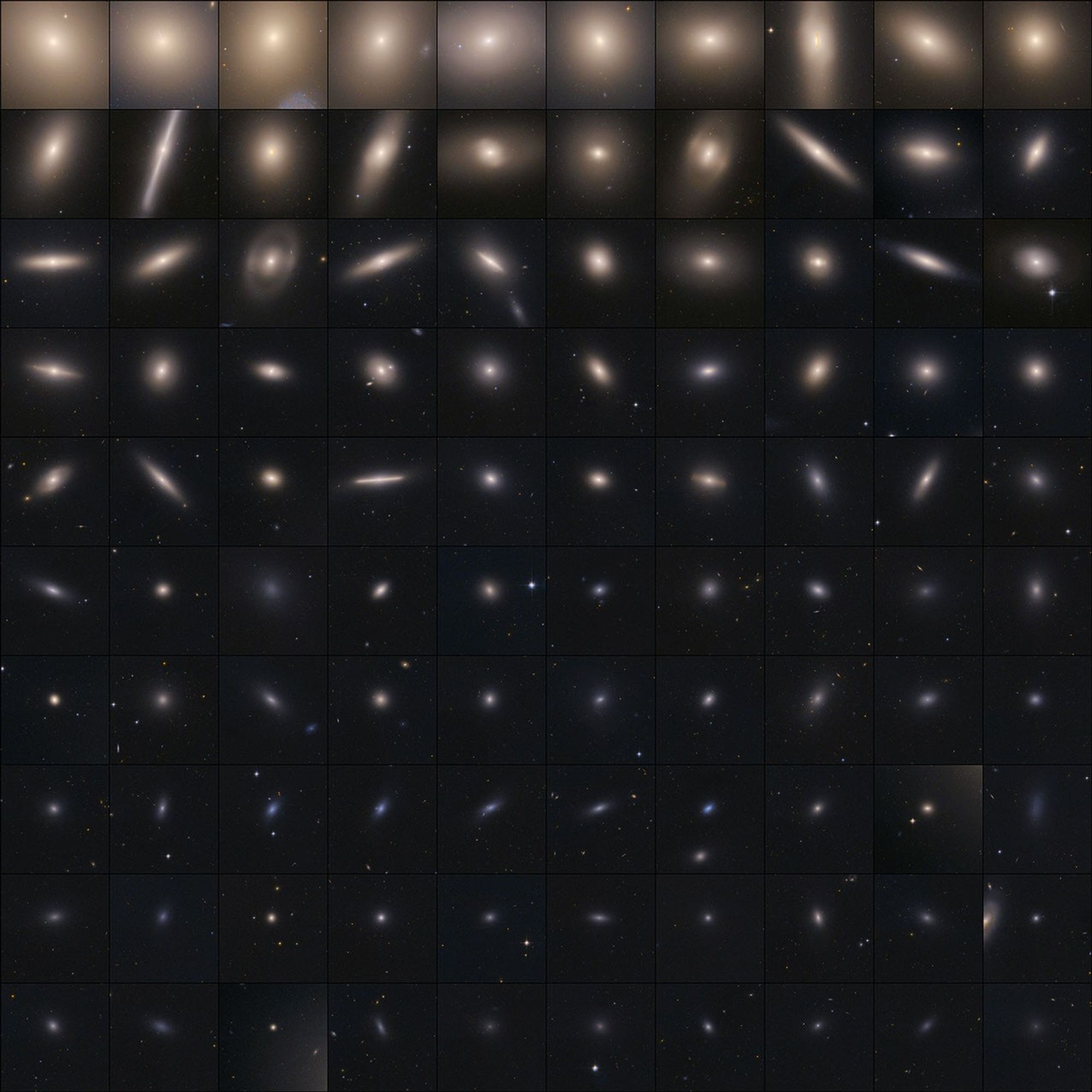 Hubble ACS Image of 100 Virgo Cluster Galaxies