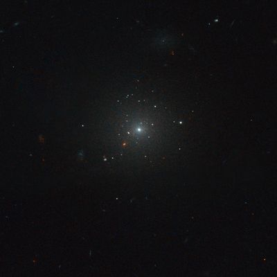 Virgo Cluster Galaxy IC 3506