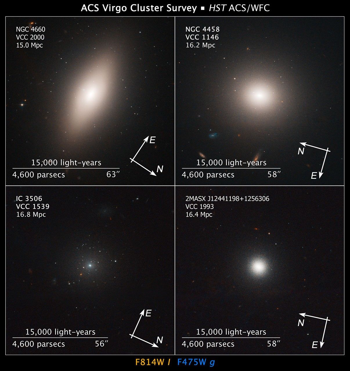 Compass File and Scale for Virgo Cluster Galaxies