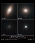 Hubble ACS Images of Virgo Cluster Galaxies: NGC 4660, NGC 4458, IC 3506, and VCC 1993