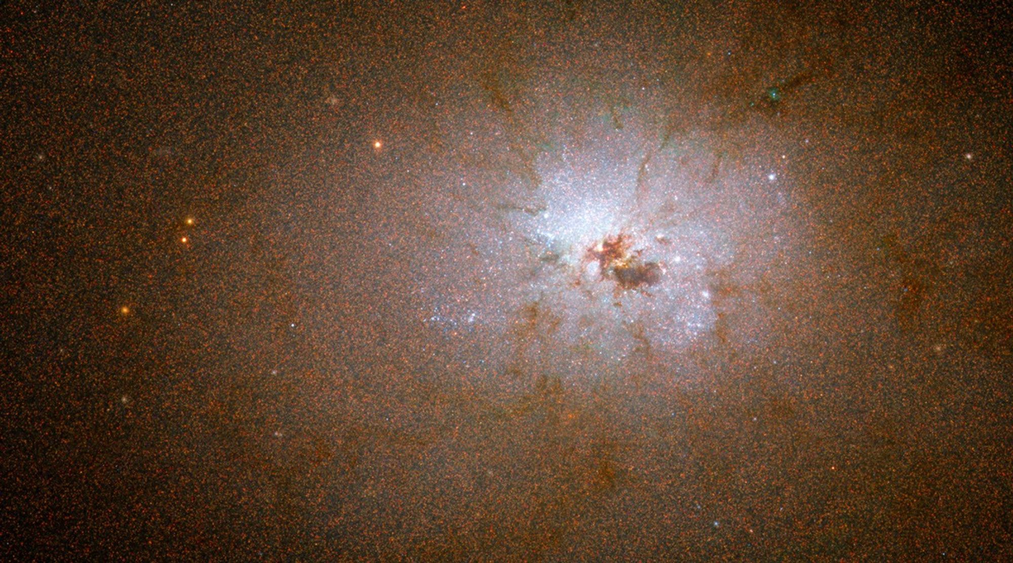 ANGST Survey Galaxy - NGC 3077