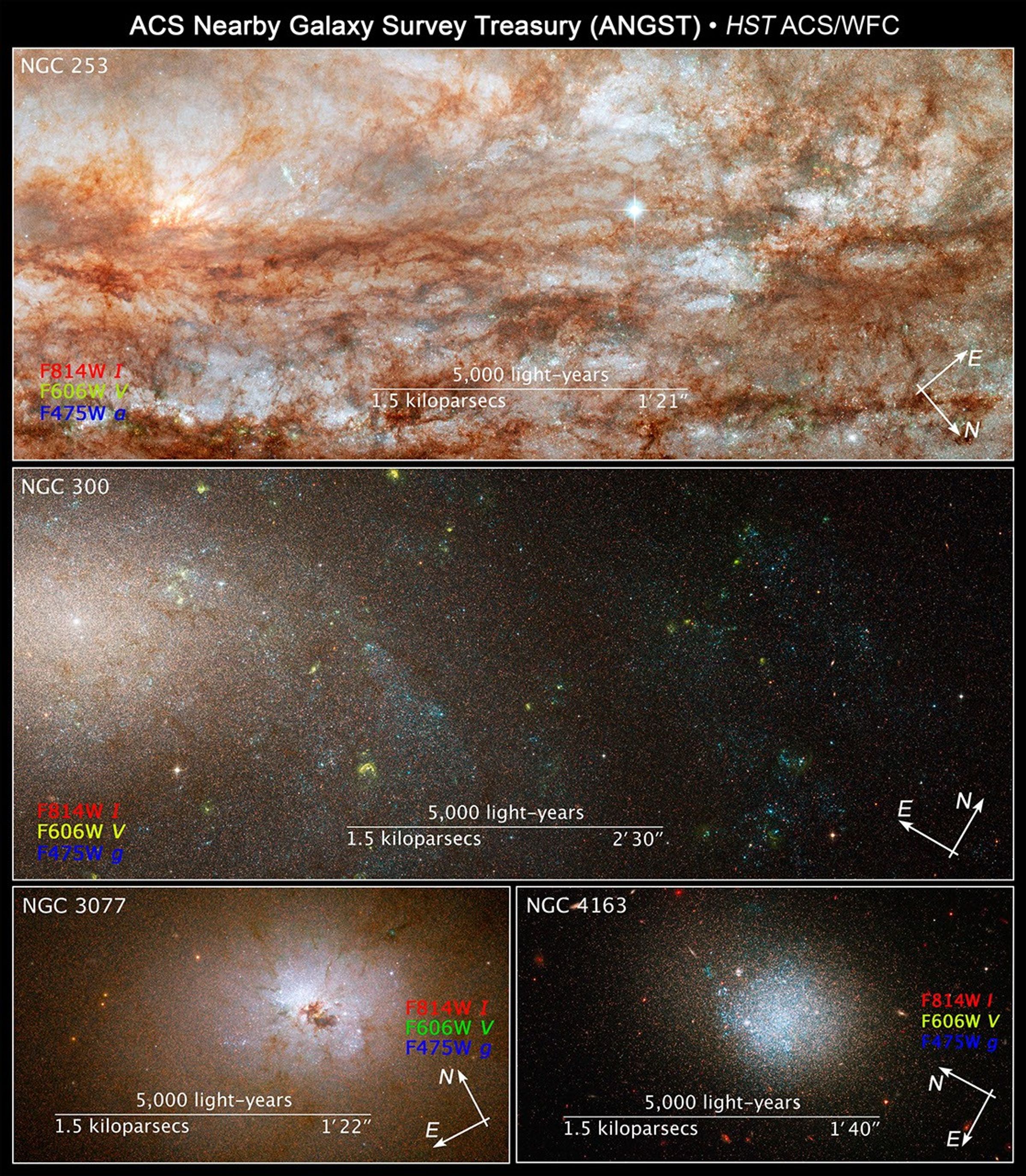 Compass and Scale Images for ANGST Galaxies