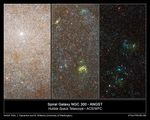 Hubble Resolves Swarms of Stars in Nearby Galaxy