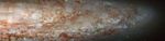 NGC 253 from the ANGST Survey