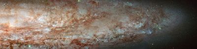 NGC 253 from the ANGST Survey