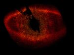 HST ACS/HRC Wide View of Fomalhaut System