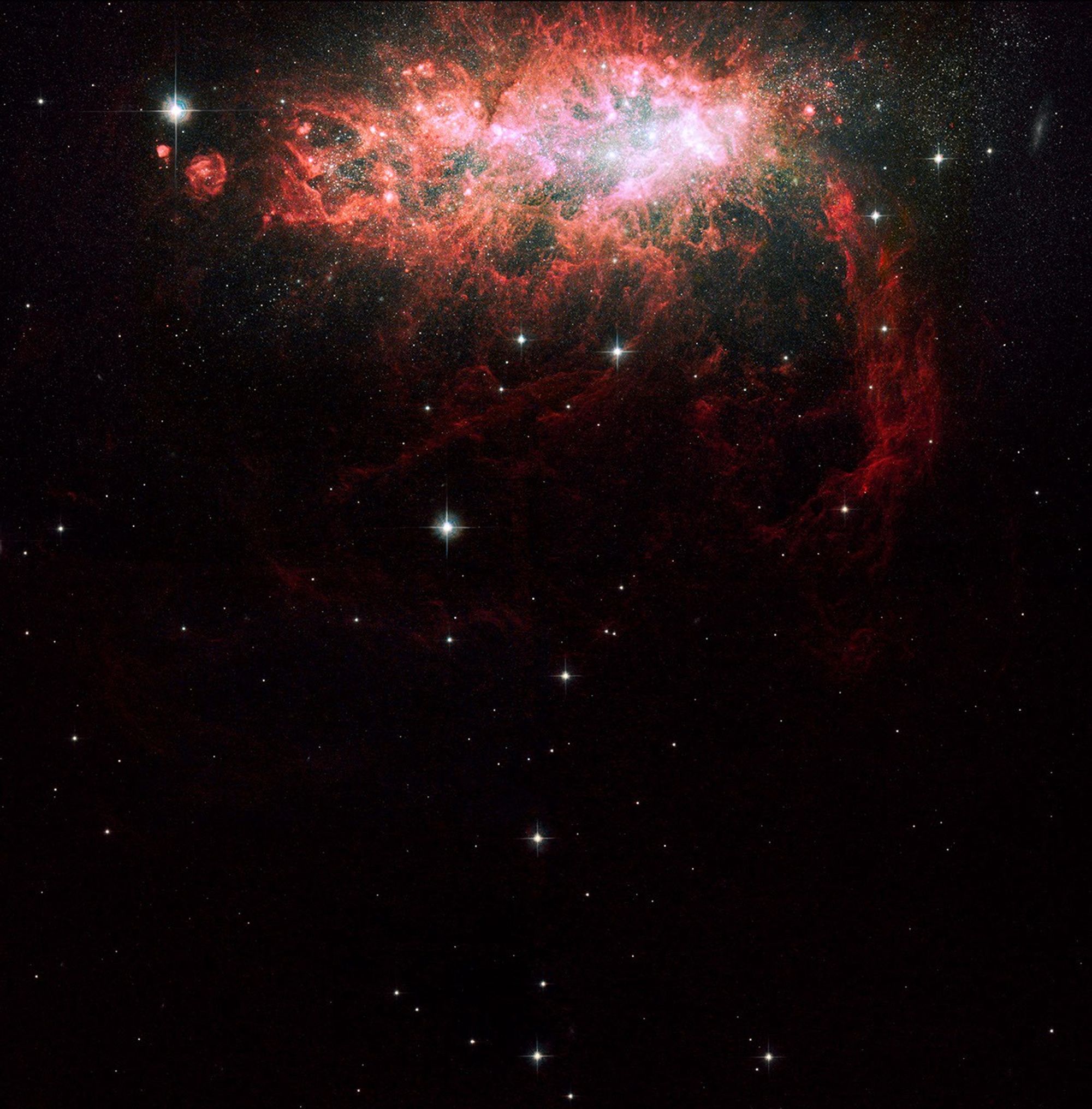 Large-Field Hubble Image of Starburst Galaxy NGC 1569