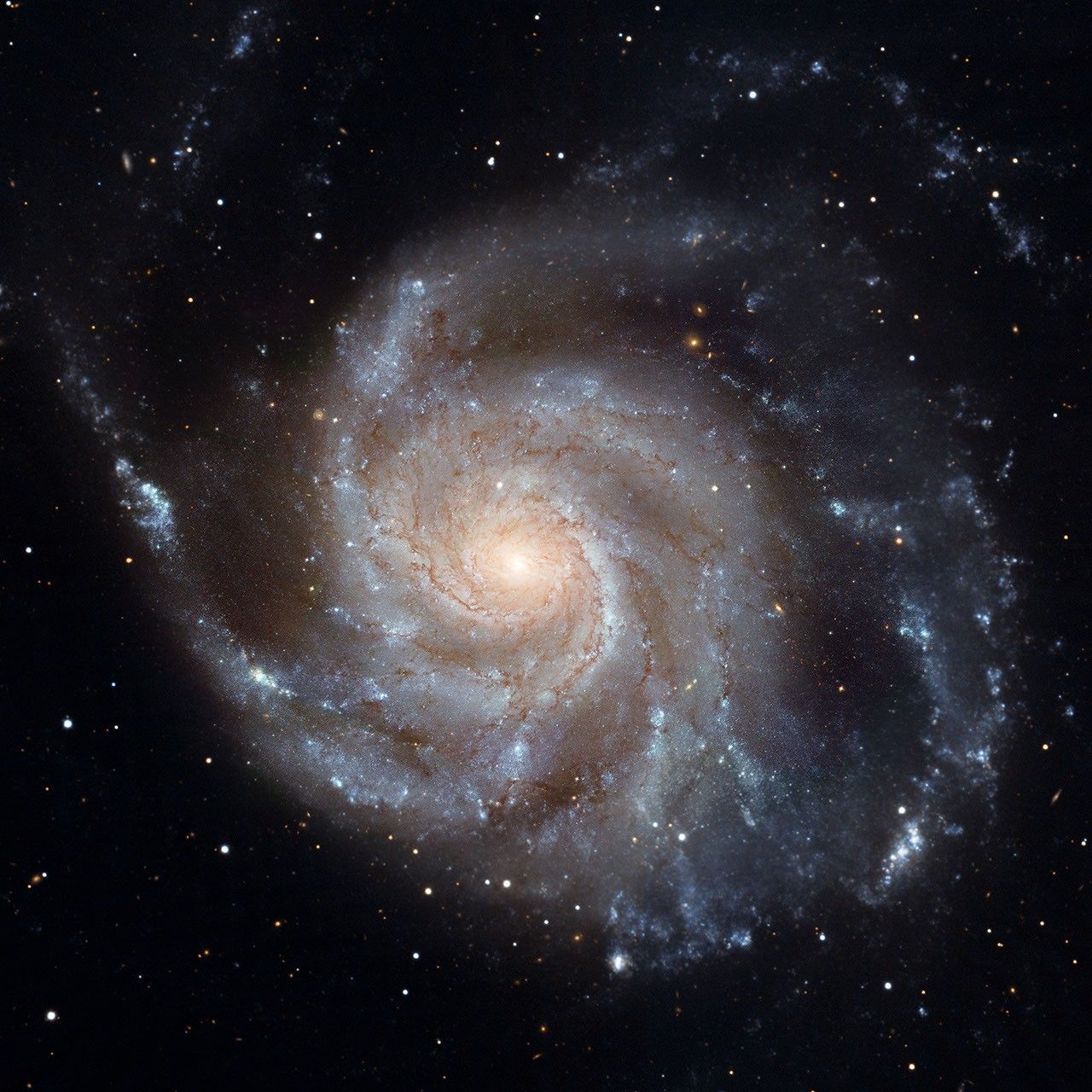 Hubble Image of M101