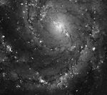 Hubble Space Telescope Imaging of Hot Gas and Star Birth in M101