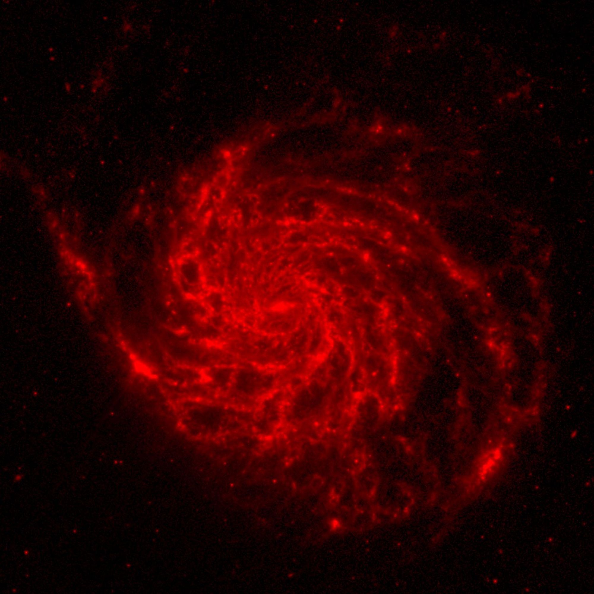 M101 Composite Image: Spitzer Data (Red Component)